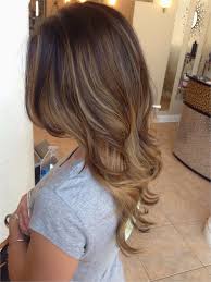 hairstyles light brown hair color chart alluring 21 luxury