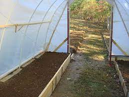 In this video i show you the basic steps i went through to build my 17' x 50' commercial hoop house for under $1000. How To Build A Hoop House Greenhouse For 50 Off Grid World