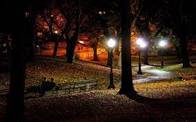 Autumn Night Autumn Park Park Night Scene