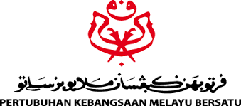 Nkri (negara kesatuan republik indonesia). Vectorism Politics