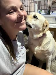 Jungle Lake Labradors