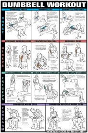 Dumbbell Workout Chart 2 Healthy Fitness Workout Body