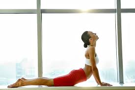 We did not find results for: 18 Best Stretching Exercises To Increase Height Quickly