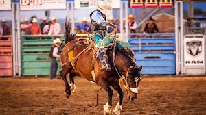 The premiere family_friendly event in southern idaho. Twin Falls County Fair And Magic Valley Stampede Visit Southern Idaho