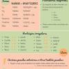 ¿sabéis donde se puede encontrar una lista completa de marcadores temporales de espanol? 1