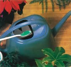 They require fertilizers that encourage strong, lush growth, while establishing the hardiness required to resist disease and overcome the rigors of indoor growing. How To Care For House Plants Howstuffworks