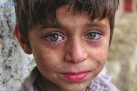 COMPREHENSIVE DISASTER RESPONSE SERVICES