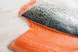 The coho salmon (oncorhynchus kisutch; Product Salmon Chile