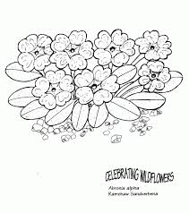 Download and print these free printable flower coloring pages for free. Wildflower Coloring Pages Coloring Home