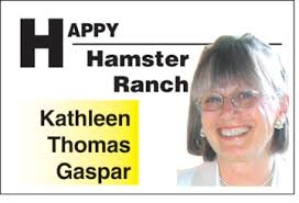 The night bus to England