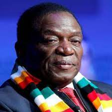 We did not find results for: Mnangagwa Children Shefalitayal