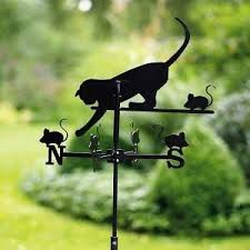 it is an evolutionary habit that developed because in the wild running water is less likely to be contaminated than illustration de chat girouette bijou chat