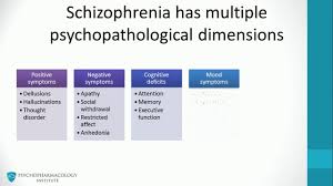 1 schizophrenia psychopathology