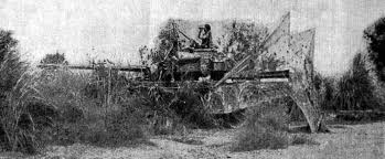 Image result for 1965 india pakistan war