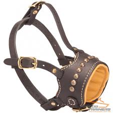 Pirinc Rivetli Ve Nappa Astarli Kopek Agizligi M64 Fordogtrainers