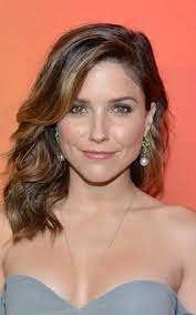 Sophia Bush Net Worth