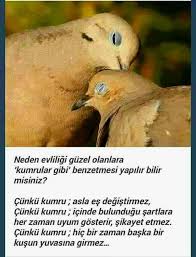 Kumru Gibi Muhapbet Edebiyat Guzel Soz Ilham Verici Sozler