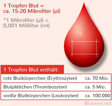 Was Sind Blutkorperchen Rote Und Weisse Einfach Erklart