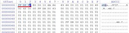 It uses the technology of encoding smooth color renditions. Jpg Signature Format Documentation Recovery Example