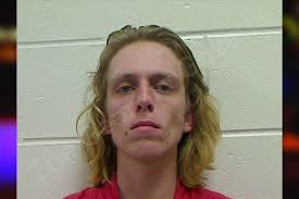 Christopher Diggs — Bulloch County Jail Bookings