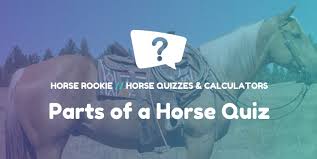 If so, why not try out some of our other free trivia questions and answers too, such as these: 15 Parts Of A Horse Can You Name Them All Fun Quiz