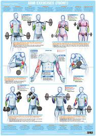 Fitness I Bieganie Chest Muscles Weight Lifting Poster Body
