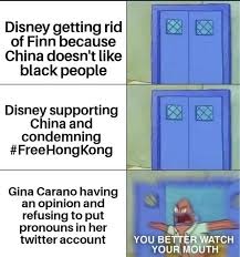 Carano began her training with muay thai to competitive mma, where she competed in strikeforce and elitexc. Disney Getting Rid Of Finn Because China Doesn T Like Black People Disney Supporting I China And Condemning Freehongkong Gina Carano Having An Opinion And Refusing To Put Pronouns In Her Ad Twitter