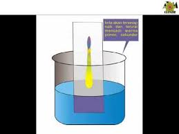 We did not find results for: Animasi Kromatografi Kertas Youtube