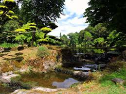 727,599 likes · 2,765 talking about this · 320,947 were here. Visite Du Parc Oriental De Maulevrier Sejour En Anjou