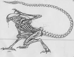 Today well be showing you how to draw a xenomorph drone alien from the aliens. How To Draw Predator For Kids Novocom Top