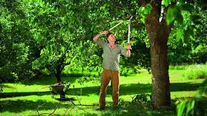 We proudly serve the north shore & cape ann communities year round. Wolf Garten Powercut Rs 800 V Schnelligkeit Trifft Kraft Gabot De