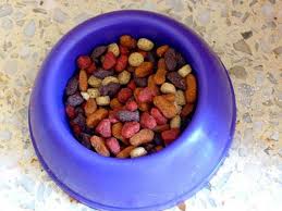The main reasons behind those foods are that carrots are low in calories and high in fiber and vitamins. The Side Effects And Risks Of A Dog Eating Cat Food Pethelpful