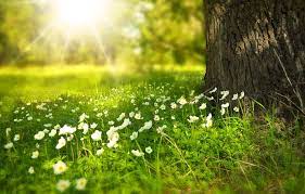 Nun kopierst du den code unter deinem ausgesuchtem sommer. 100 000 Kostenlose Sommer Bilder Hintergrundbilder Pixabay