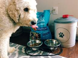 This is because many pets have difficulty digesting foods that. Wholehearted Grain Free Dog Food A Petco Giveaway Simply Taralynn
