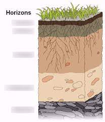 Jamaicas major soil type foud is gravelly loam. 5 Soil Systems Terrestrial Food Production Systems Society Diagram Quizlet