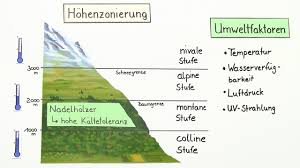 Temperatur Als Abiotischer Faktor Anpassung Der Pflanzen Inkl Ubungen