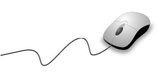 Plant cell and animal cell are the structural unit of life of plants and animals respectively. The Cell Site