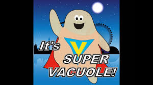 Many cells, plant and animal, take in substances and. The Vacuole Not Just An Empty Hole