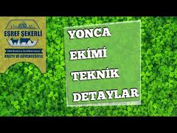 Silaj Nasil Olmali Dogru Silajin Ozellikleri Nelerdir Youtube