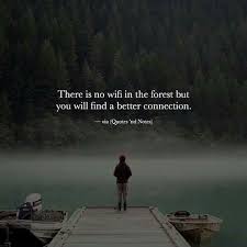No Wifi In The Forest Or In Loneliness But Youll Certainly Find Better Connection To Self Words Quotes Nature Quotes Wisdom Quotes