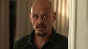 A drama tv show, mr inbetween was created by its star, scott ryan. Mr Inbetween Tv Series 2018 2021 Imdb