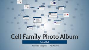 Our global writing staff includes experienced enl & esl academic writers in a variety of disciplines. Cell Family Photo Album By Jeanette Delgado