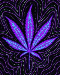 We would like to show you a description here but the site won't allow us. Weed Wallpapers Wallpaper Sun