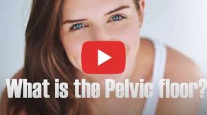 Pelvic Floor Rehabilitation London With Our Pelvic Floor Physiotherapist Treatment French Physio At Home Pelvic Physiotherapy