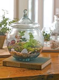 Terrarium Supplies Diy Terrarium Kit Gardener S Supply Terrarium Plants For Sale Terrarium Plants Terrarium Supplies