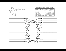 Blank Tooth Template Wiring Diagrams