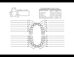 blank baby teething chart templates at