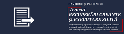 623 din codul de procedură civilă, doar de către executorul judecătoresc, cu anumite excepţii. Avocat Recuperare Creante È™i Executare Silita Hammond È™i Partenerii