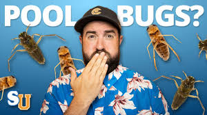 Waterman pool filling service and bulk water delivery has been in business for over 25 years. How To Get Rid Of Water Bugs In Your Pool Swim University Youtube