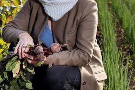 Recipes: Enjoy... Rachel Allen's Grain-y Day salads